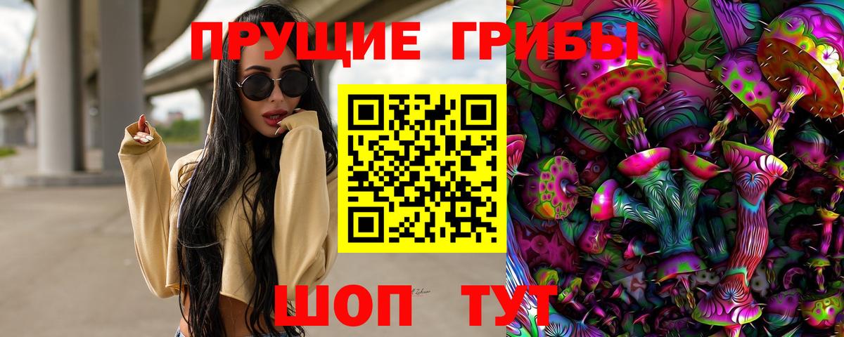 Галлюциногенные грибы Psilocybe  Вход с VPN  Богданович  Галлюциногенные грибы прущие грибы 